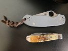 Para 3.jpg