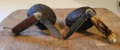 avocado (2).jpg
