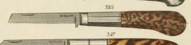Short Beak from Smiths key.jpg