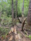 IMG_9480.jpeg