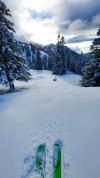PSX_20220105_162504.jpg