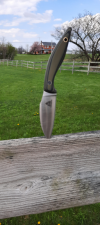 IMG_01052022_161214_(600_x_800_pixel).png