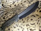Emerson Carver-720Wide.jpg