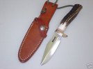 bird and trout randall.jpg