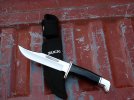 Buck 119 Special.jpg