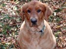 102905-04 - Zoe Portrait - Internet.jpg