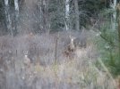 IMG_0063.JPG