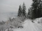IMG_0015.JPG