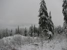 IMG_0020.JPG