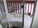 riley-snows.jpg