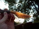 100_4641.jpg