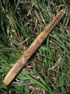 Crane Tanto Sheathed 2.jpg