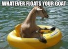Floating Your Goat.jpg