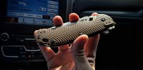ZT0561.BF.jpg