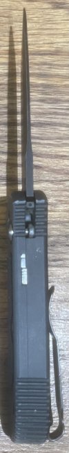 IMG_2933.jpeg