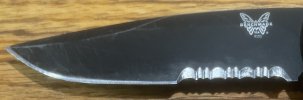 IMG_2923.jpeg