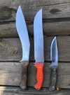 Busse 10 May 2022 A.jpg
