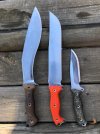 Busse 10 May 2022 B.jpg