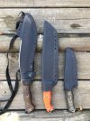 Busse 10 May 2022 C.jpg Busse 10 May 2022 C.jpg