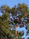IMG_9552.jpeg