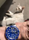 IMG_1642.jpeg