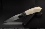 AI-Stingray-Bone-04.jpg