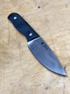 20220513_spydercoserrata_033.jpg