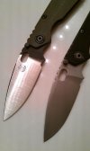 IMAG0102.jpg