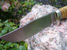 mirinaba hunter for the ohio show 004.jpg