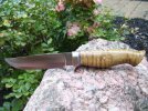 mirinaba hunter for the ohio show 006.jpg