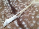 Leopards Tooth OL.jpg