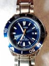 Big blue diver.jpg