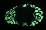 IMG_9998.JPG