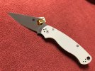 PM2 2.jpg