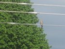 IMG_2057.JPG