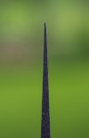 Bent Tip-5174.jpg
