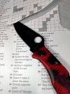 Spydie v. Xword.jpg
