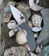 Spyderco Sage.jpg