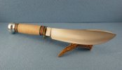 Bullnose1.jpg Bullnose1.jpg