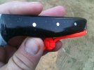 bird trout scales.jpg