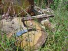 DSC03582.JPG