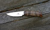 AB Wild Dog sm 2.jpg