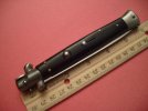 horn inox 11 inch (1).jpg