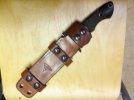 Hammond sheath.jpg
