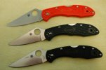 Delica 3 005.jpg