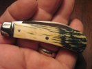 Bret Dowell Sway Back 013.jpg