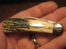 Bret Dowell Sway Back 012.jpg