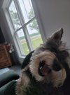 20220607_174957.jpg