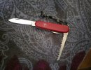 IMG_20220608_100524.jpg