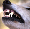 1654652394065.png